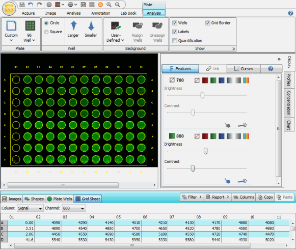 Image Studio Plate Analysis Window