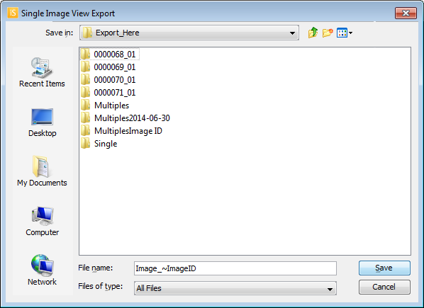 Image Studio 5.0 Single Image View Export dialog