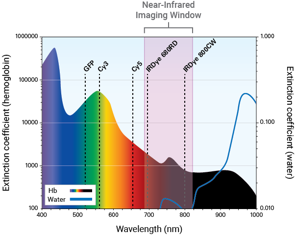 NIR imaging window graph