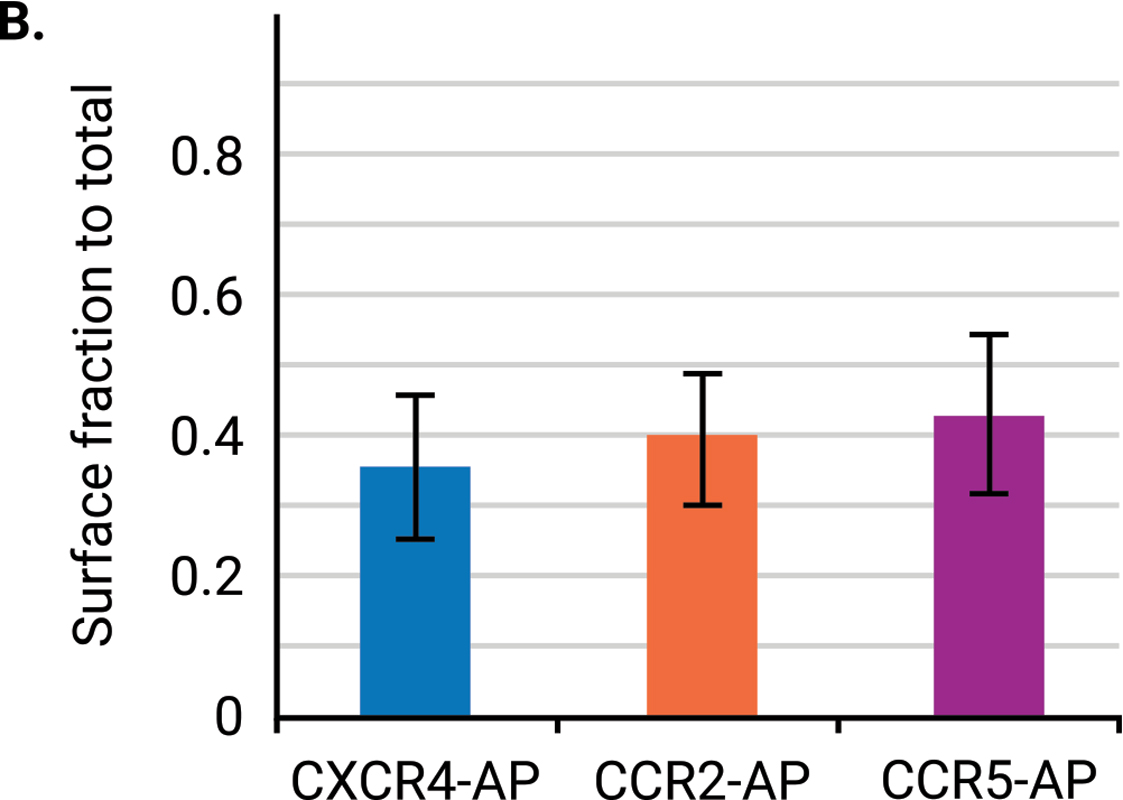 figure 3B