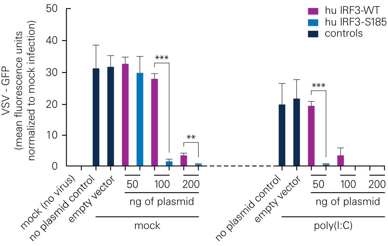 Figure 2: Graph