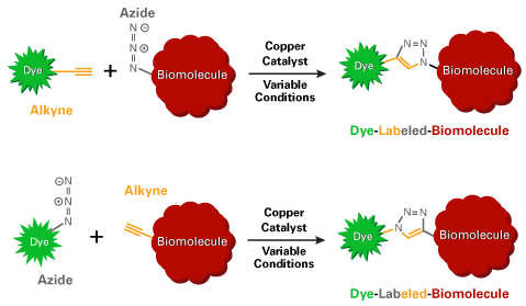 alkyne reaction