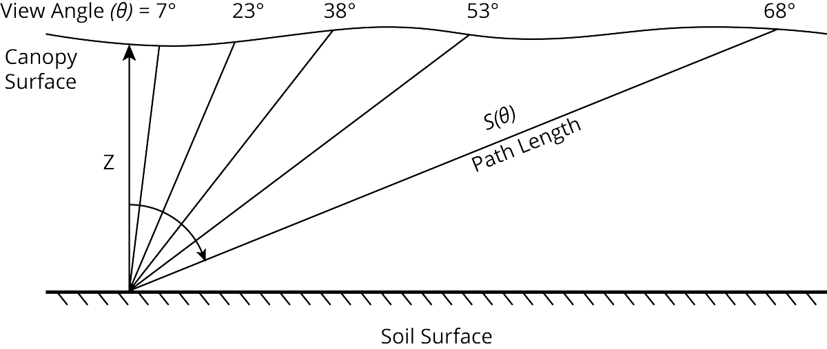 Soil canopy surface graphic