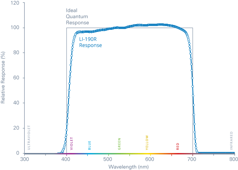 Quantum Response Photon Graph