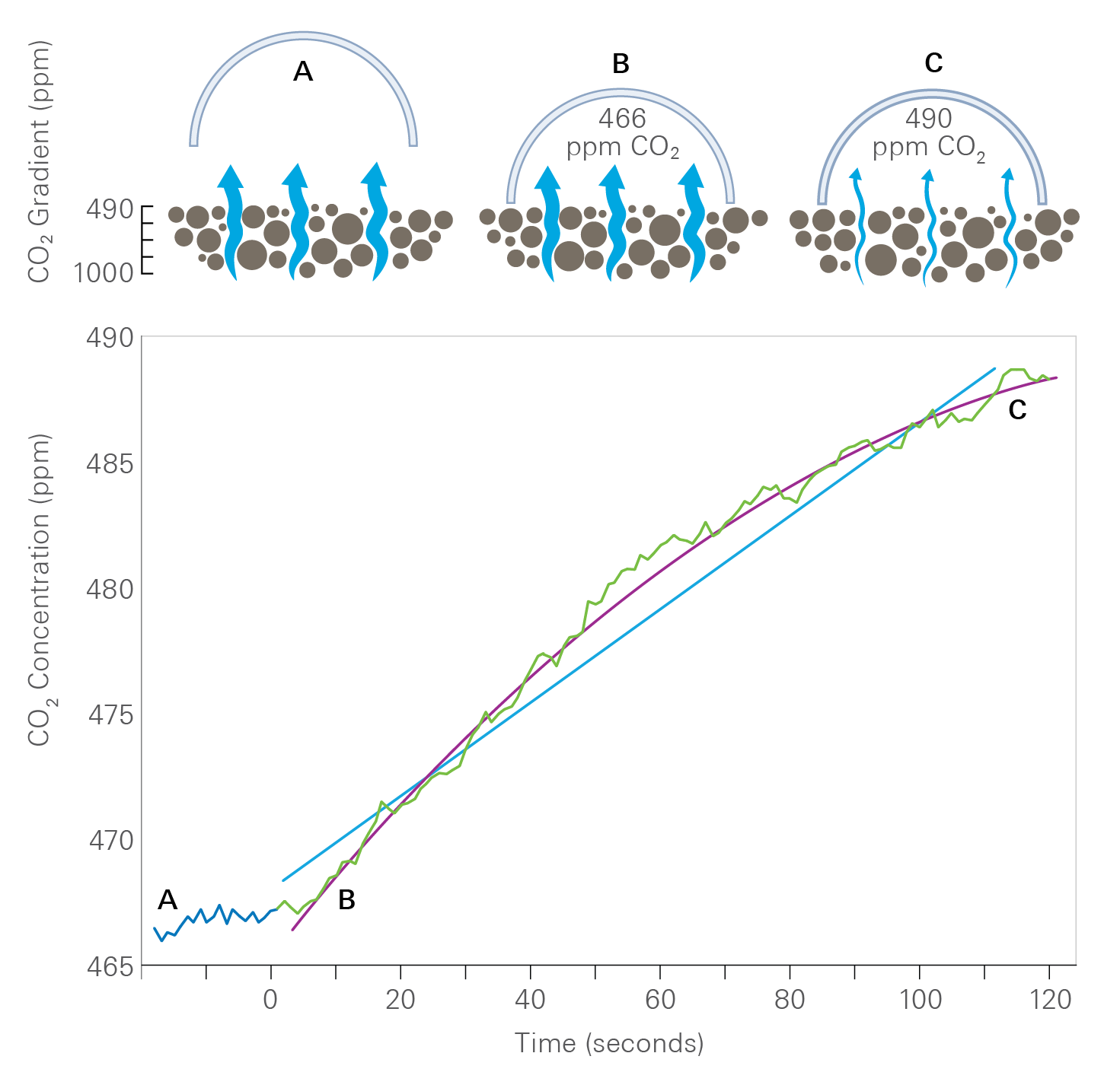 LI-COR chamber design recognizes the altered diffusion gradient