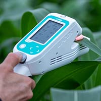 LI-600 Porometer/Fluorometer